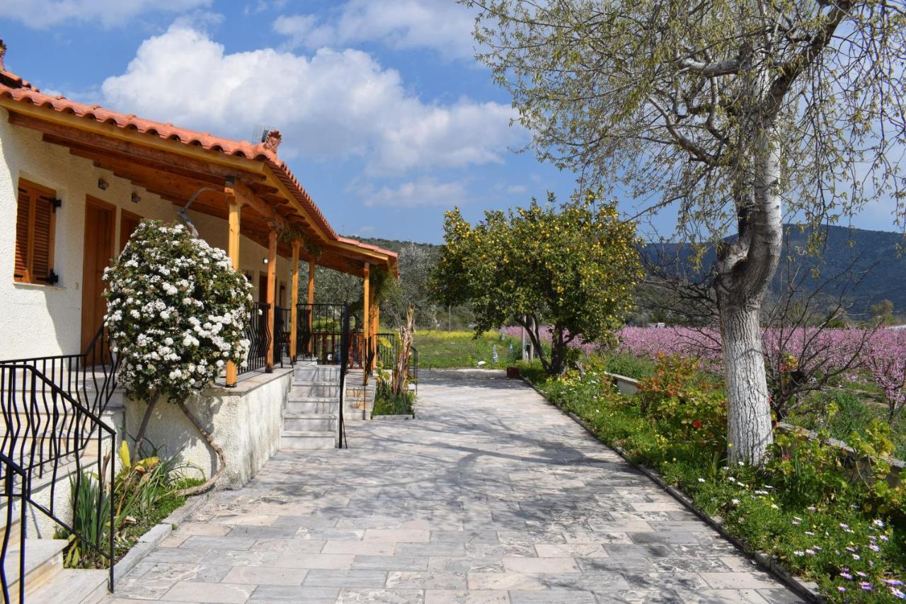 Studio Candia Exterior photo