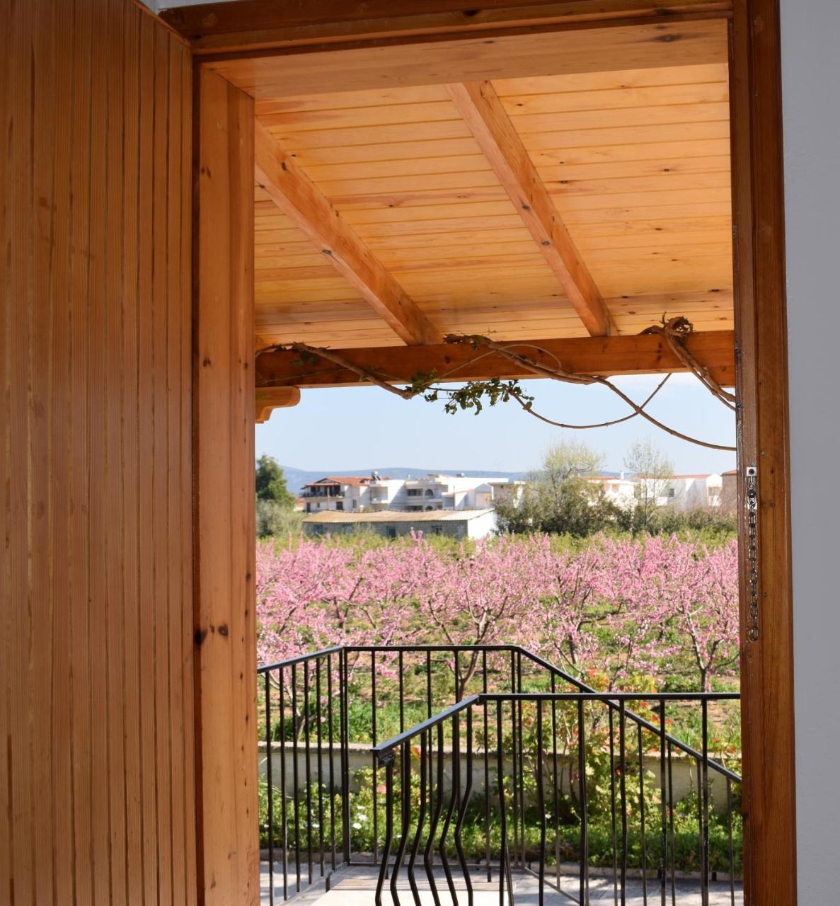 Studio Candia Exterior photo